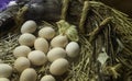 Chick hatching egg Royalty Free Stock Photo