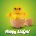 Chick hatching form an egg Easter card Royalty Free Stock Photo