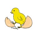 Chick Hatching Inside Egg Drawing Royalty Free Stock Photo