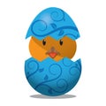 chick hatching out from easter egg. Vector illustration decorative design Royalty Free Stock Photo