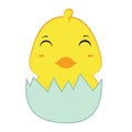 chick hatching out from egg. Vector illustration decorative design Royalty Free Stock Photo