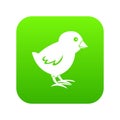 Chick icon digital green Royalty Free Stock Photo