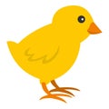 Chick icon Royalty Free Stock Photo