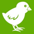 Chick icon green Royalty Free Stock Photo