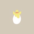 The chick jumped out of the hole of the broken egg and flaps its wings. Royalty Free Stock Photo
