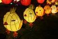 Yellow chick lanterns