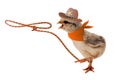 Chick With Lasso