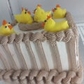 chick-patterned birthday cake in the refrigerator