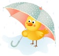 Chick in the rain with umbrella