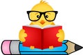 Chick reading book sitting on pencil