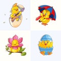 Set of Easter Chick vector, cute chicken baby and egg, cartoon little rocker, yellow funny animal icon. Royalty Free Stock Photo