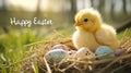 Chick sits in the Easter basket with colored eggs, on the side the writing: Happy Easter.