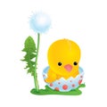 The chick sits in an egg-shell near a dandelion on a green lawn. Stock vector illustration in cartoon style. Easter card