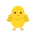 Chick vector, Isolated Easter flat style icon Royalty Free Stock Photo