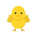 Chick vector, Isolated Easter flat style icon