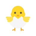 Chick vector, Isolated Easter flat style icon Royalty Free Stock Photo