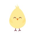 chick on a white background Royalty Free Stock Photo
