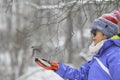 Chickadee bird landing on woman`s hand f for food during heavy snowing Royalty Free Stock Photo