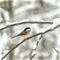 Chickadee on Snow Covered Branch