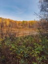 Chickaoo Lake, Alberta from Indian Ridge Trail in Autumn. Royalty Free Stock Photo