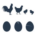 Vector Silhouette of chickens Royalty Free Stock Photo