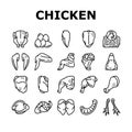 Chicken Animal Farm Raw Meat Food Icons Set Vector Royalty Free Stock Photo