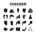 Chicken Animal Farm Raw Meat Food Icons Set Vector Royalty Free Stock Photo