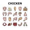 Chicken Animal Farm Raw Meat Food Icons Set Vector Royalty Free Stock Photo