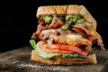 Chicken and Avocado BLT sandwich Royalty Free Stock Photo