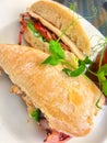 Chicken bacon lettuce and tomato sandwich in ciabatta bread with golden chips Royalty Free Stock Photo