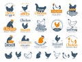 Chicken badges. Fresh farm food logotype cooking egg and bird broilers vector labels