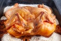 Chicken baked in the oven on a thick layer of salt