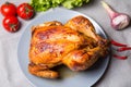 Chicken baked whole. Royalty Free Stock Photo