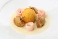 Chicken Balls - breaded, deep fried balls filled with egg and Chickens legs served bacon, celery puree on white plate Royalty Free Stock Photo