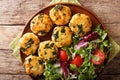 Chicken balls with spinach and a salad of fresh vegetables close Royalty Free Stock Photo