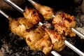 Chicken barbeque Royalty Free Stock Photo