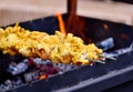 Chicken barbeque skewers Royalty Free Stock Photo