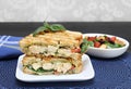 Chicken, basil, spinach, tomato, pesto and cheese panini. Royalty Free Stock Photo