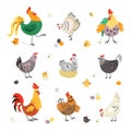 Chicken birds, hen and rooster. Poultry breeding, yellow cartoon cute chick. Farm birds in various poses, eggs and