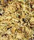 Chicken biriyani made up of long grain basmati rice