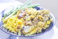 Chicken Biryani with green chutney Royalty Free Stock Photo