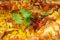 Chicken Biryani close up image Royalty Free Stock Photo