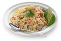 Chicken biryani , indian pilau rice Royalty Free Stock Photo