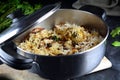 Chicken Biryani with Mattha - recipe preparation photos with photos of the final dish and traditional mattha Royalty Free Stock Photo