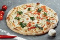 Chicken-blue pizza with tomato, mozzarella and Dor Blue cheeses on gray background