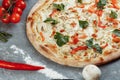 Chicken-blue pizza with tomato, mozzarella and Dor Blue cheeses on gray background