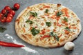 Chicken-blue pizza with tomato, mozzarella and Dor Blue cheeses on gray background