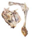Chicken Bones isolated on white Royalty Free Stock Photo