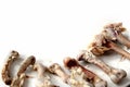 Chicken bones with meat scraps on a white background Royalty Free Stock Photo