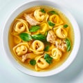 Chicken Bouillon with Tortellini Pasta in White Bowl, Noodle Ravioli Soup, Clear Sturdy Seasoned Broth Royalty Free Stock Photo